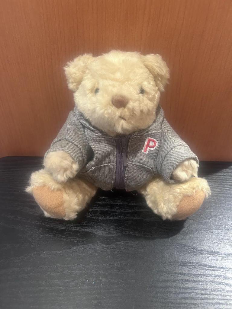[USED] shaly bear teddy bear detachable hoodie