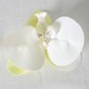 5pcs Simulated Film Butterfly Orchid Flower Head Petals Flower Accessories Headwear Hairclip Handmade Wedding Gift Decoration