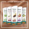 Himalaya Herbals Cocoa Butter Intensive Body Lotion 100ml Hydrating Moisturizer for Dry Skin Unisex