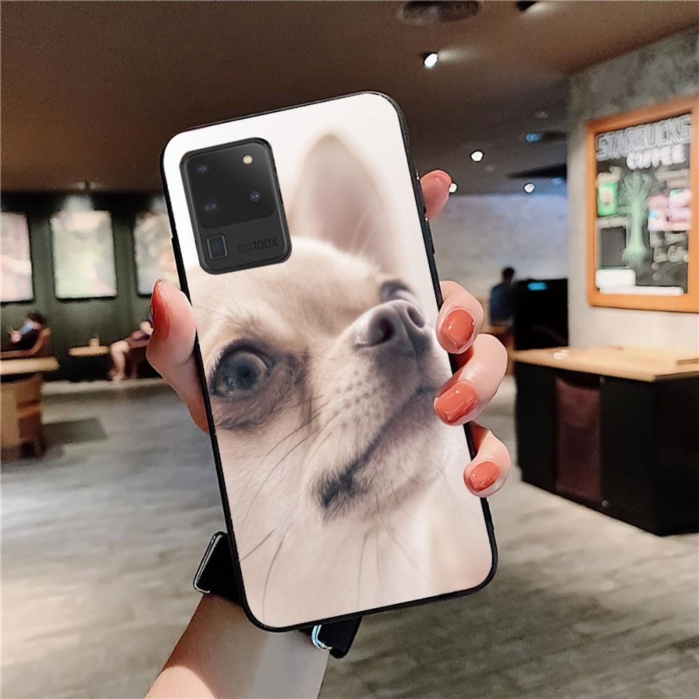 

Chihuahua Dog Phone Case For Samsung S 9 10 20 21 22 23 30 23plus lite Ultra FE S10lite Fundas Samsung S21 fe