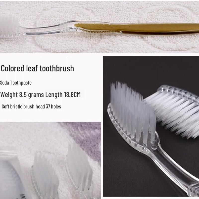 QianDuan Disposable Toothbrush & Toothpaste Set