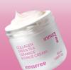 Innisfree Collagen Green Tea Ceramide Bounce Cream 50ml
