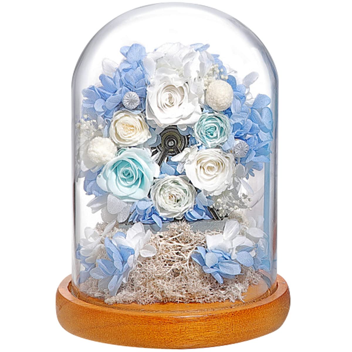 

Teatsite Preserved Flowers, Flower Gift, Glass Dome Ferris Wheel (2 Blue Roses)