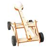 1set DIY Science Experiment Kit and Education Model DIY Catapult Toy for Physics Science Toys Children Gift Project