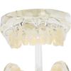 Dental Deciduous Teeth Model Removable Teeth Model Teaching Tool for Dentist