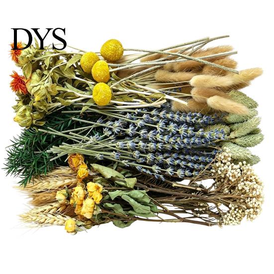 Souvenir Flower Decor DIY Natural Dried Set Eucalyptus Lavender Wheat Bunny Tails Billy Ball Wedding Flowers Bouquet with Stems for Crafts Home