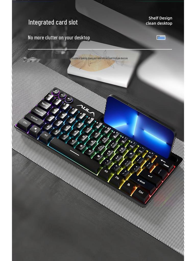 AULA Wolf Spider F3061 Mini 61-Tasten RGB Kabelgebundene Tastatur