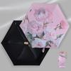 Oil Painting Umbrella Folding Rain Umbrella Travel Umbrella Small Umbrella Folding Umbrella Rain & Sun Umbrella