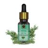 Advik Ayurveda Rosemary Essential Oil 15ml