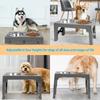 Raised Dog Bowl with Adjustable Stand Elevated Cat Water Bowl Slow Feeding Bowls Food Container for Cat Dogs Small Pet