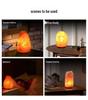 Himalayan Salt Lamp: Natural EU Standard Bedroom Table Lamp
