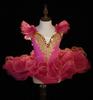 June 1 Children's Ballet Swan Costume - Girls Tulle Princess Dress for Dance