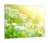 GLASS PROTECTIVE PLATE FOR STOVE 60x52 FLOWERS