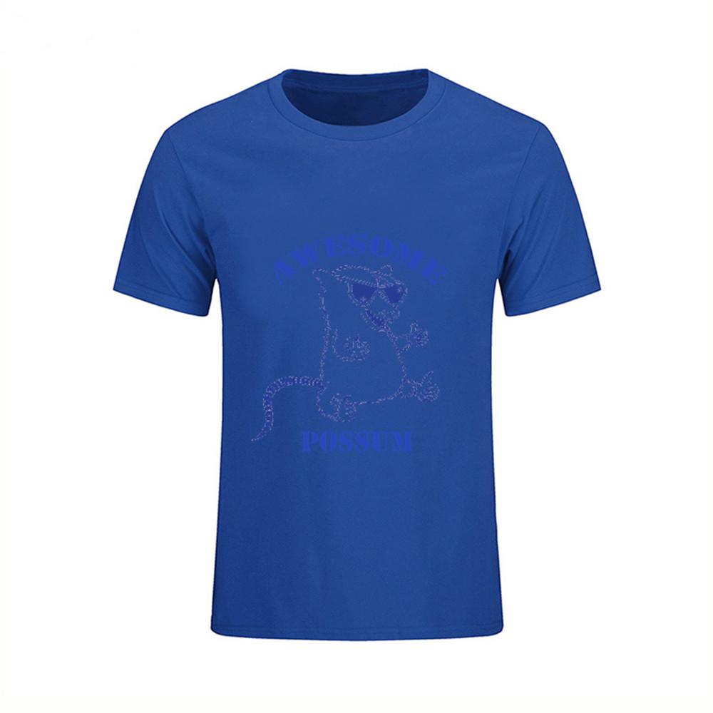 Hip Hop Streetwear Men S Awesome Possum Blue T Shirt Geek Words Awesome T Shirts 2XL