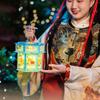 Chinese Style New Year Luminous Lantern Traditional Spring Festival Supplies  Good Luck Decoration