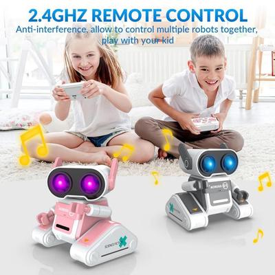Intelligent Interactive Robot