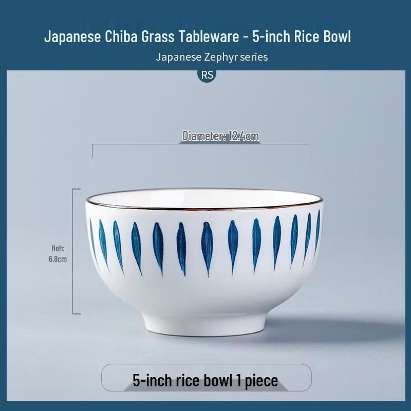 

JINGRX Japanese Style 10-Piece Ceramic Dinnerware Set