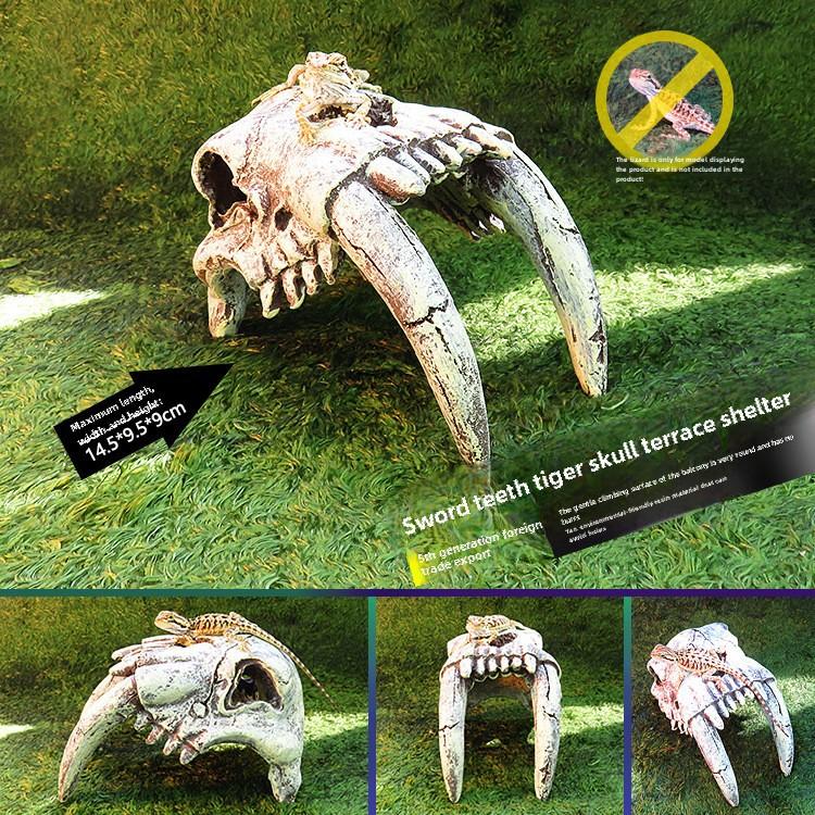 Akril Hüllőtenyésztő Doboz Dekoratív Koponyával