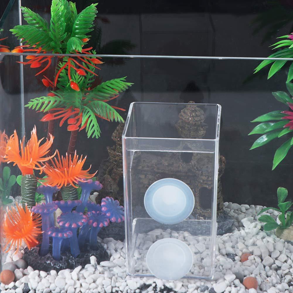 Transparent Suction Cup Fish Feeder Square/Circle Aquarium Feeding Ring Aquarium