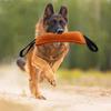 German Shepherd Bite-Resistant Chew Stick: Durable Tear-Resistant Cloth for Dental Protection, Training, and Fetch.