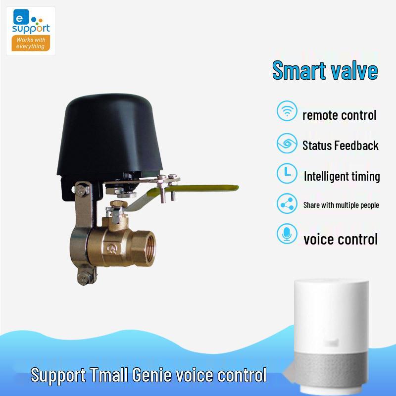 YiWeiLian Smart Electric Steam Valve with Alexa Remote Control