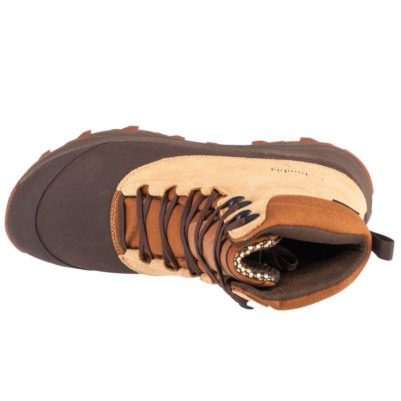 Hiking Shoes Columbia Brown Expeditionist Shield M