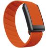 Whoop 5.0PEAK Elastic Sports Nylon Strap with Black Metal Frame