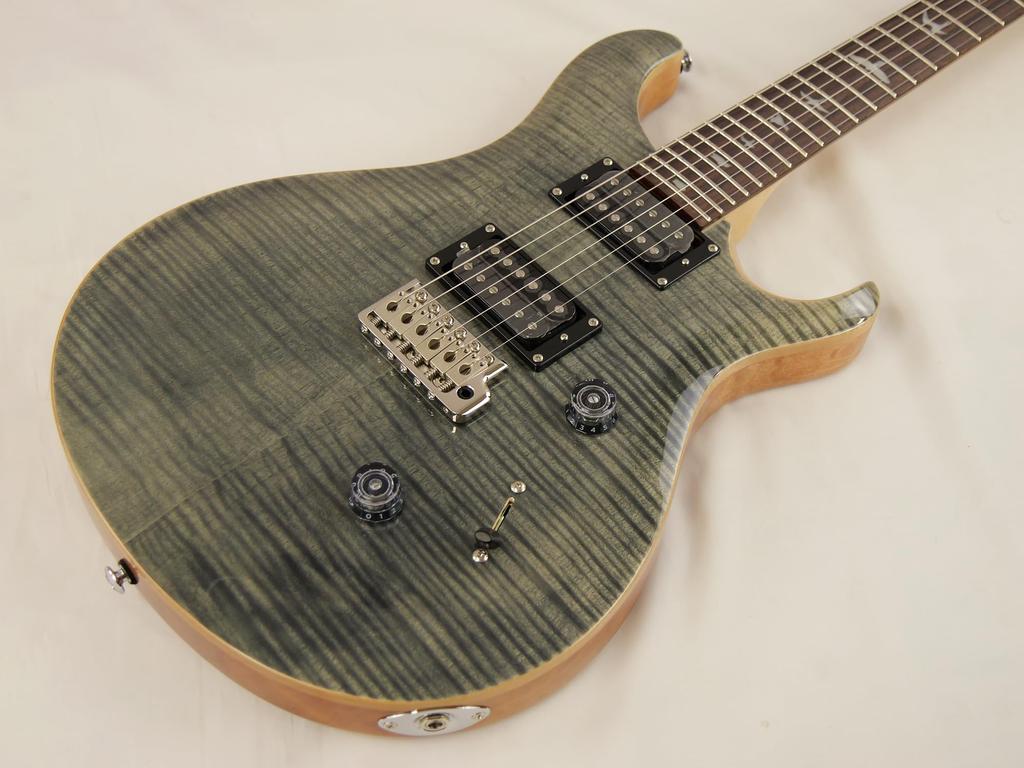 Paul Reed Smith(PRS) SE Custom 24 (Charcoal)