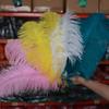 Thick Rod Wide Hair 50-55Cm Ostrich Feather Wedding Road Guide Table Flower Home Decoration Ornament Ostrich Hair White