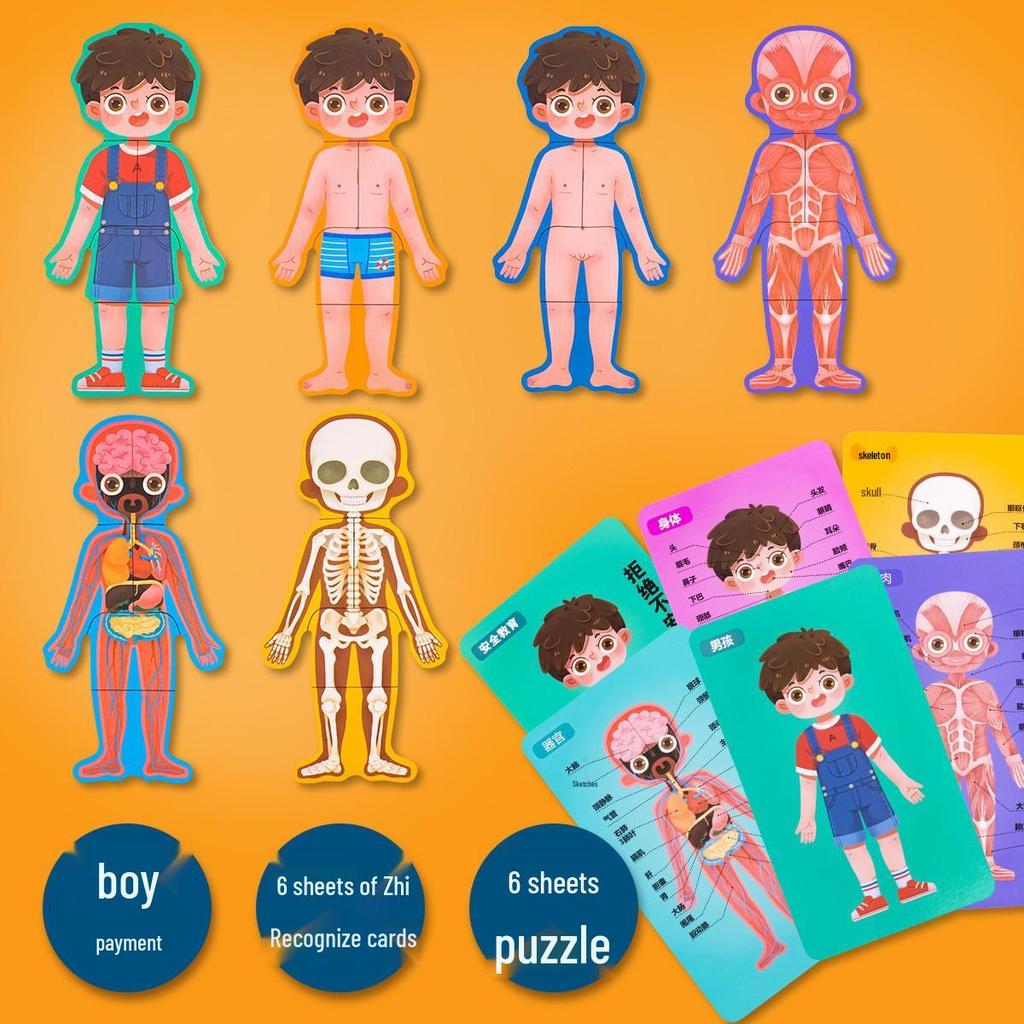 Holz Anatomie Puzzle: Kleinkind-Lernspielzeug zur Selbstwahrnehmung und zum naturwissenschaftlichen Lernen