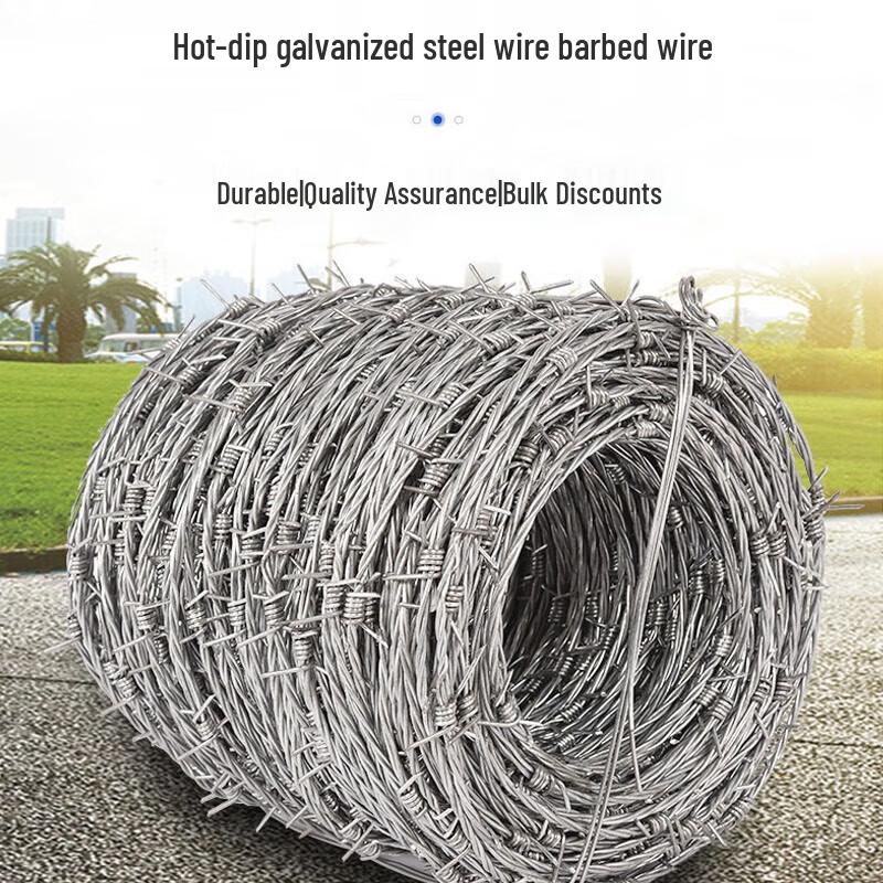 Barbed Wire Security Fence