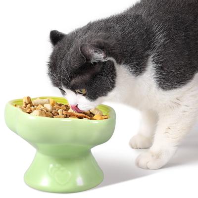 Kedi – Kedi Besleme ve Sulama Malzemeleri