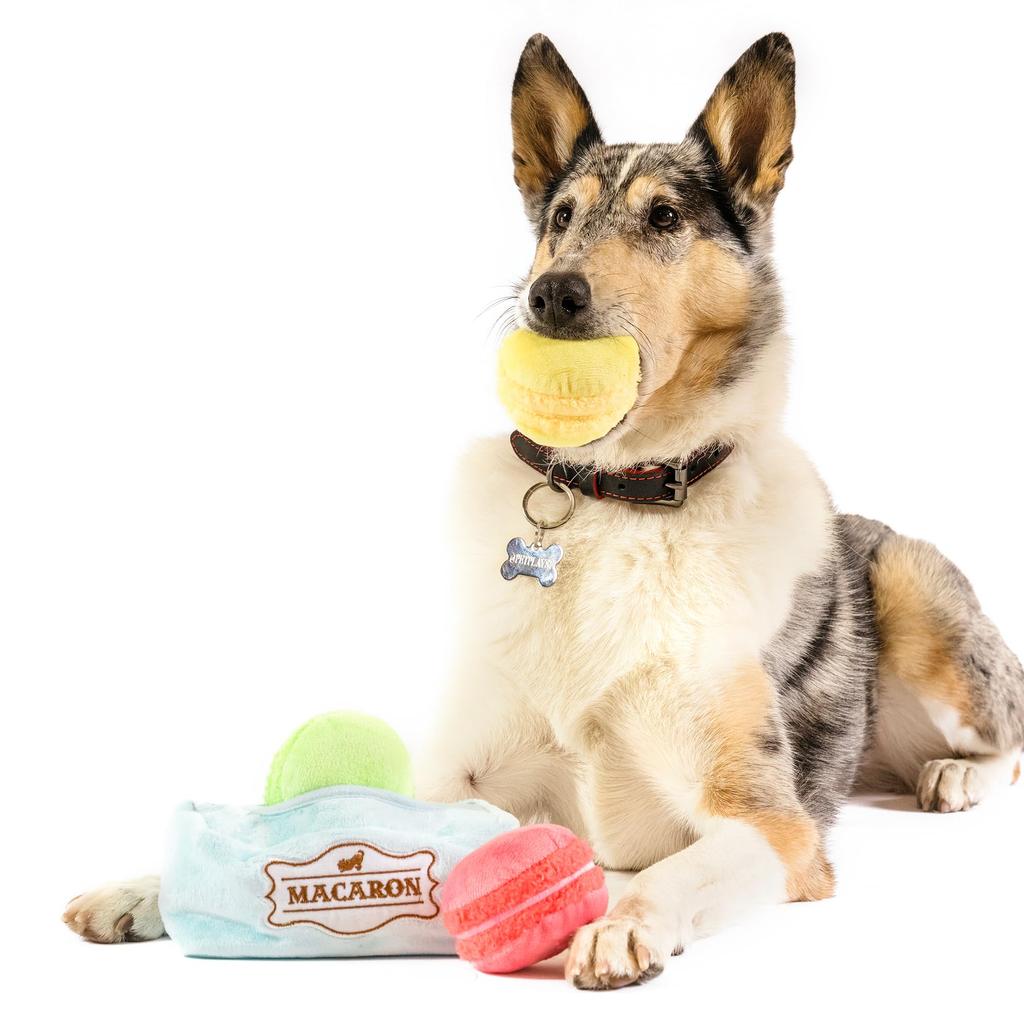 ROOP Dog Toy 0609 Play Pup Cup Cafe Macaron