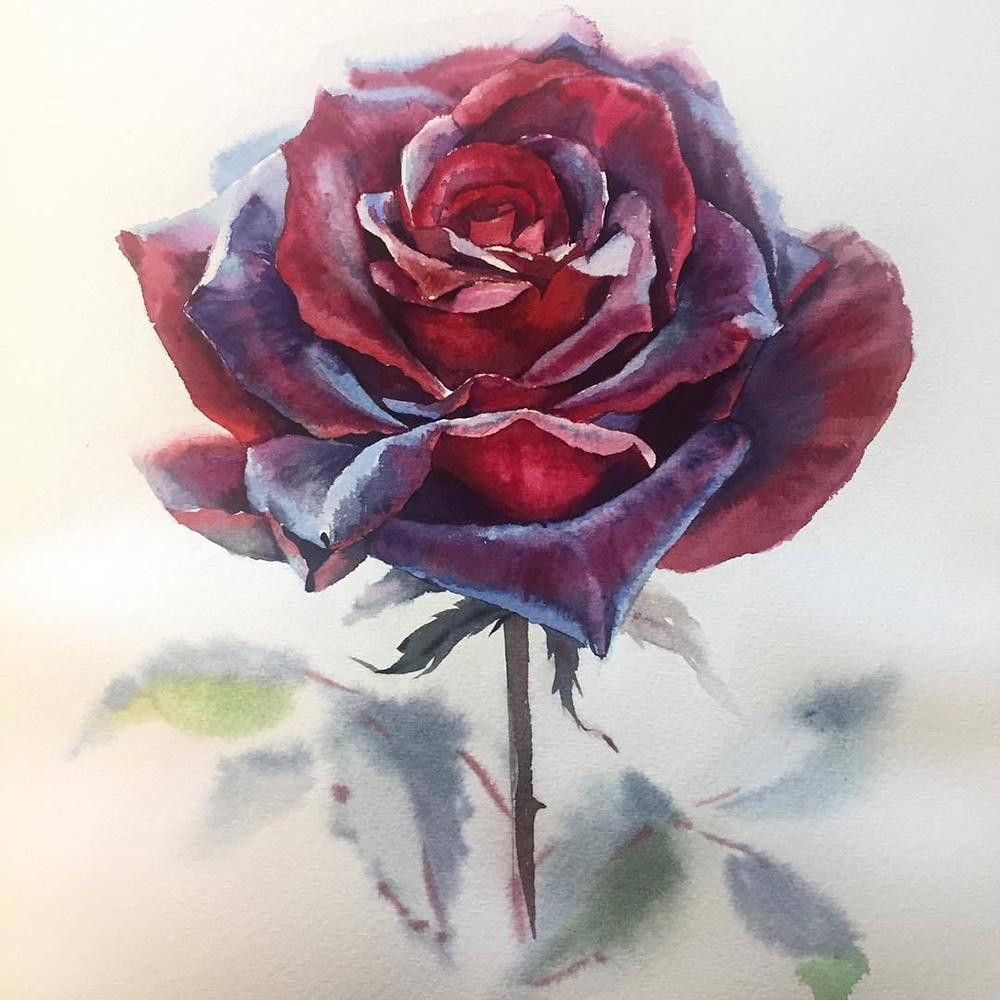 5D DIY Diamond painting Romantic flowers full diamond square/round diamond embroidery cross-stitch set home wall decorative art