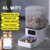 6L Large Capacity Automatic Cat Feeder with Camera, WiFi & Bluetooth Smart Auto Pet Feeder, Bite-Resistant Cable, Manual Angle Adjustment, Remote