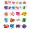 12 Colors DIY Nail Art Dried Flowers 3D Flower Decoration Nails Stickers Tips