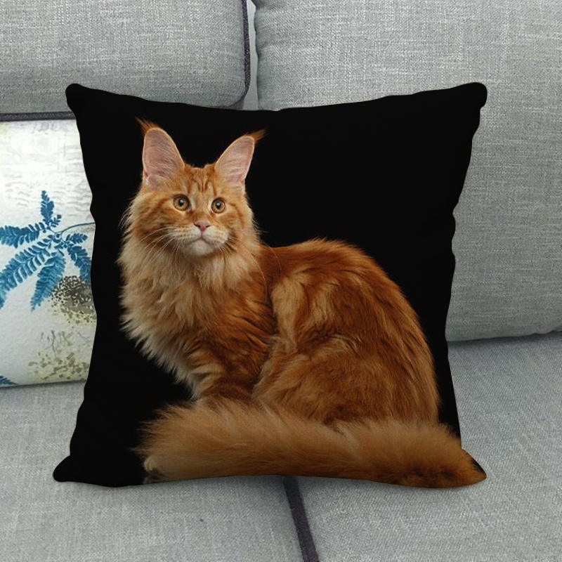 Uroczy zwierzęcy nadruk z kotem seria Sofa kreatywna poduszka prosta poduszka domowa impreza samochód