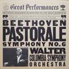 LP Record LUDWIG VAN BEETHOVEN  BRUNO WALTER  Symphony No. 6 Pastorale MY36720 CBS 1981 US Classical Used