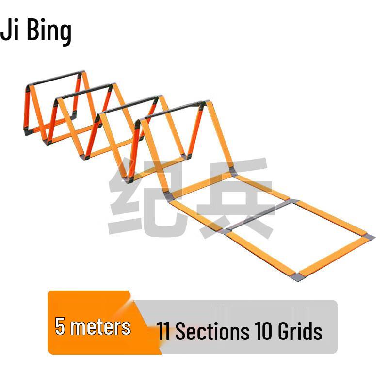 Sports Agility Training Ladder