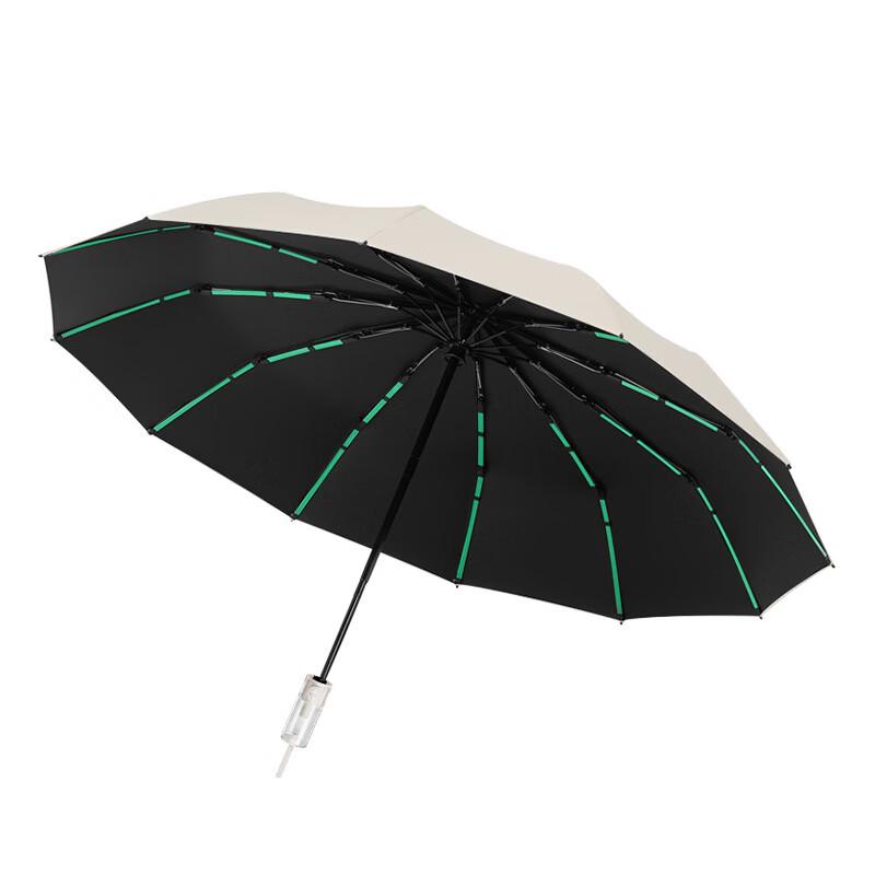 Hanyou Fully Automatic All-Weather Umbrella