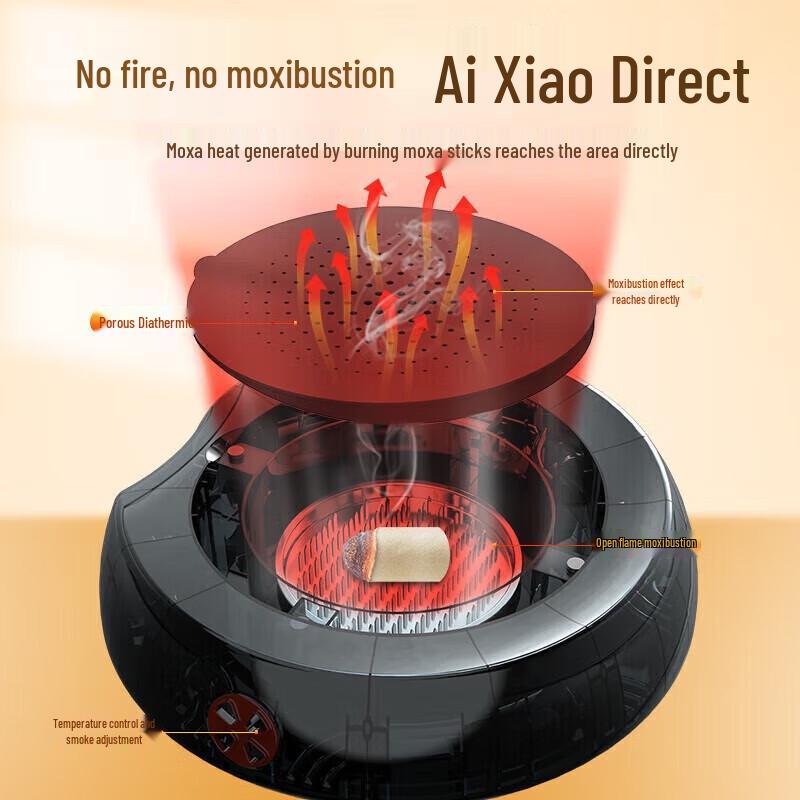 Hezheng Ai Moxibustion Massage Cushion CN Plug (adapter Included)