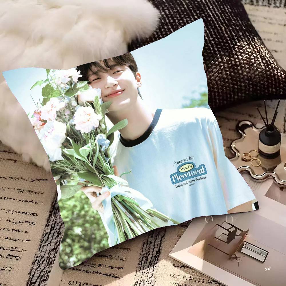 Housse de coussin Célébrité coréenne Byeon Wooseok Housse de coussin carrée tendance Décoration Ins Chambre à coucher Canapé Salon Loisirs