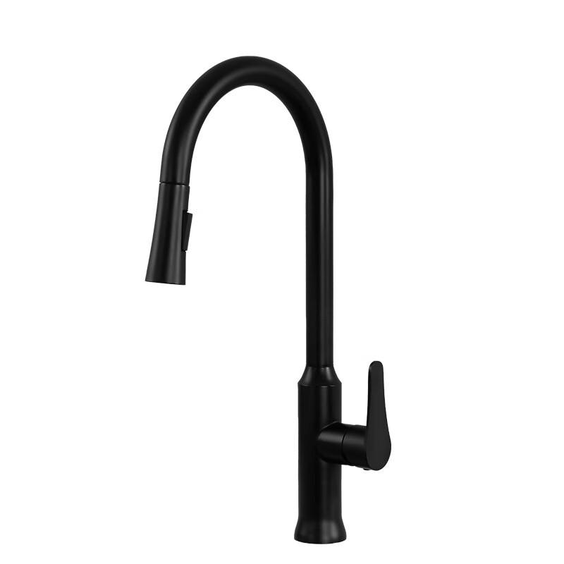 304 Stainless Steel Pull-Out Kitchen Faucet