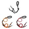 Guinzaglio in Nylon per Animali Domestici con Design a Maniglie Multiple per Passeggiate e Addestramento Cani