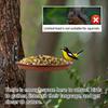 3Pcs Bird Feeding Trays Tree Mounted Bird Feeders Bird Bath Spa Multifunctional Foldable Bird Feeders for Garden Balcony Railing