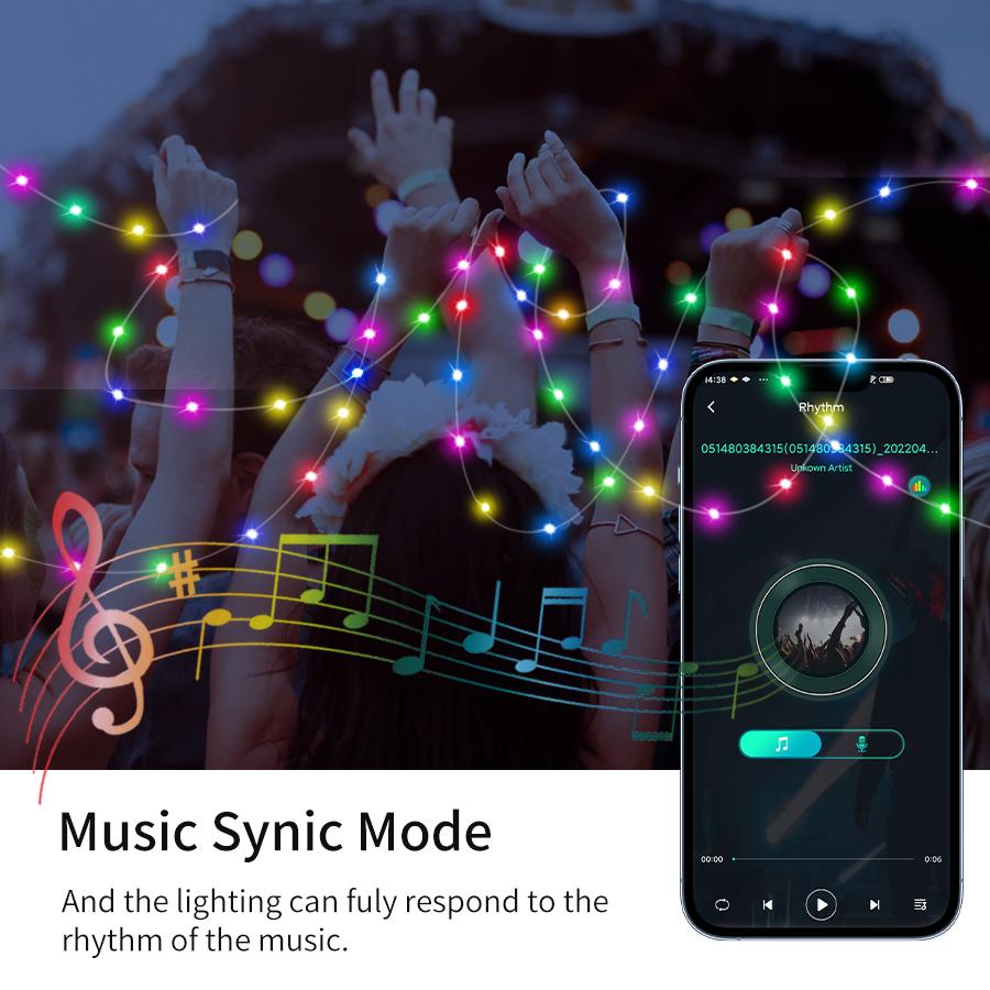 WS2812B Bluetooth LED String Fairy Lights Dreamcolor RGBIC Addressable Party Christmas Lights Wedding Decoration Garland USB 5V