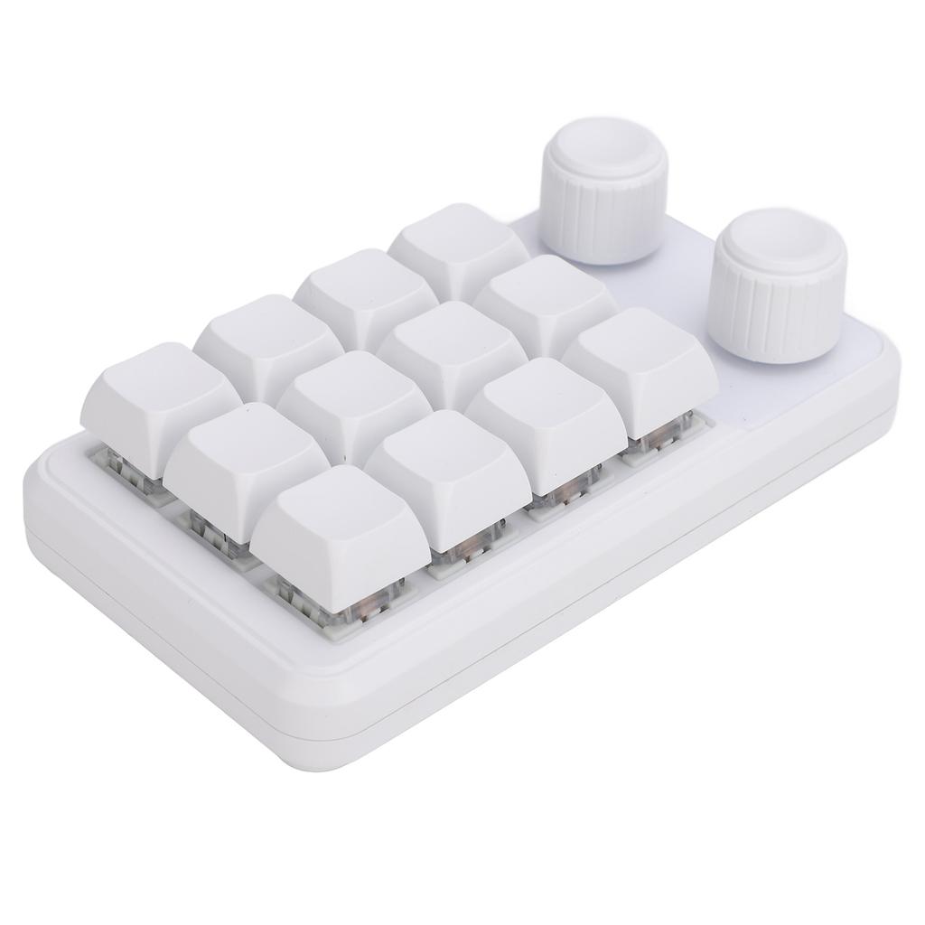 12 Tasten Kleine Tastatur mit Dual-Drehknöpfen und RGB-Licht Typ C Kabelgebunden Blauer Schalter Programmierbares Makro