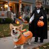 Dog Hot Dog Halloween Costume, Funny Pet Halloween Costumes for Dogs Cat of Small Medium Large Breed