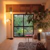 Arayuru Floor Lamp, Indirect Lighting, LED Light, Stand Lamp, Atmosphere Lamp, Color and Dimmable, Remote Control, Switched Power Cord, 2 LED Bulbs