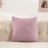Plush Velvet Pillow Cover Premium Teddy Fleece Sofa Cushion Case Office Nap Pillow Seat Back Support Home Decor Throw Pillowcase